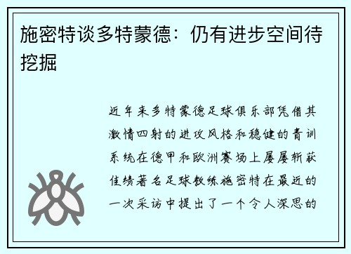 施密特谈多特蒙德：仍有进步空间待挖掘